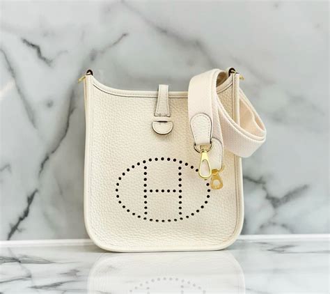 hermes evelyne mini nata|nata Hermes bags.